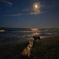 Sitter Profile Image: Aurélie B.