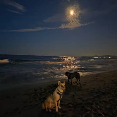Sitter Profile Image: Aurélie B.