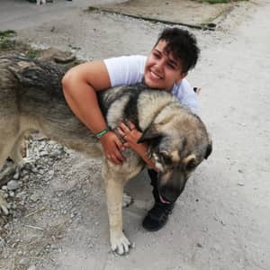 Sitter Profile Image: Alex C.