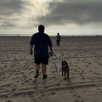 Sitter Profile Image: Anthony N.