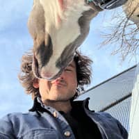 Sitter Profile Image: George P.