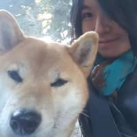 Sitter Profile Image: Kim H.