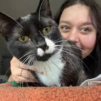 Sitter Profile Image: Sarah K.