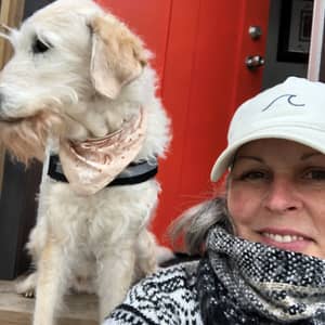 Dog walker sales east york