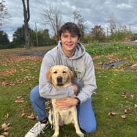 Sitter Profile Image: Brandon C.