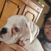 Photo de profil du pet sitter : Lucas B.