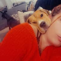 Photo de profil du pet sitter : Julie P.