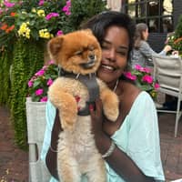 Sitter Profile Image: Meesii H.