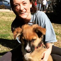 Sitter Profile Image: Regan L.