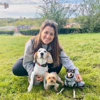 Immagine del profilo del sitter: Yaiza M.