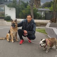 Foto del cuidador: Juan R.
