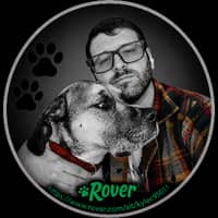 Sitter Profile Image: Kyle C.