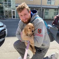 Sitter Profile Image: Niklas H.