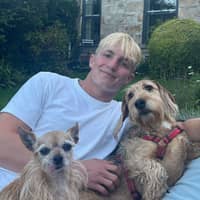 Sitter Profile Image: Henry S.