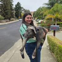 Sitter Profile Image: Erineya Z.