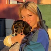 Photo de profil du pet sitter : Fanny V.