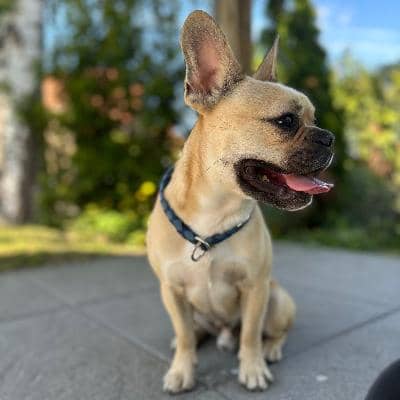 Sitterprofilbild: Leonie M.