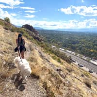 Sitter Profile Image: Wendy F.