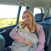 Sitter Profile Image: Corné P.