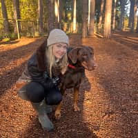 Sitter Profile Image: Kate L.