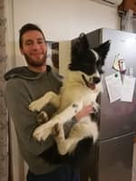 Immagine del profilo del sitter: Alessandro C.