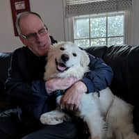 Sitter Profile Image: Andrew A.