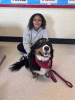 Sitter Profile Image: Ashley M.