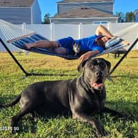 Sitter Profile Image: Matthew B.