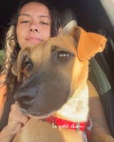 Photo de profil du pet sitter : Ines B.