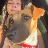 Photo de profil du pet sitter : Ines B.