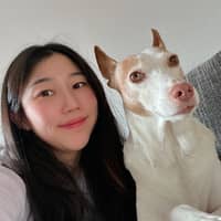 Sitterprofilbild: Hayeon I.