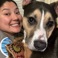 Sitter Profile Image: Sharon N.