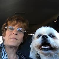 Sitter Profile Image: Debi W.