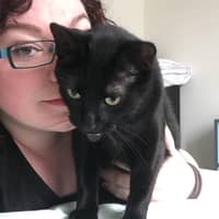 Sitter Profile Image: Kat B.