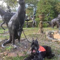 Sitter Profile Image: Pamela M.