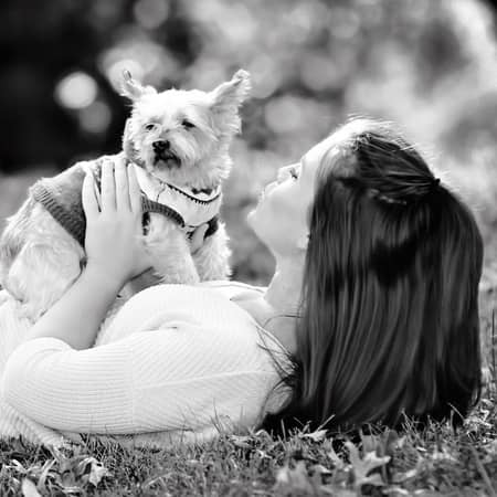 Best Dog Boarding In Des Moines Ia Rover Com