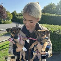 Sitter Profile Image: Tylo C.