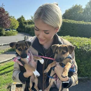 Sitter Profile Image: Alyssa C.