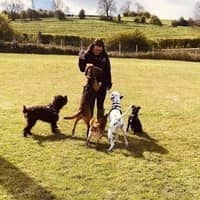 Sitter Profile Image: Imogen W.