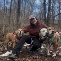 Sitter Profile Image: Lauren S.