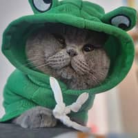 Sitter Profile Image: Karolina R.