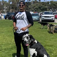 Sitter Profile Image: Chris M.