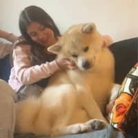 Sitter Profile Image: Madison C.