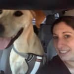 Sitter Profile Image: Adriane S.