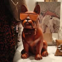 Photo de profil du pet sitter : Séverine N.