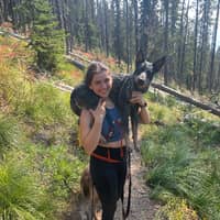 Sitter Profile Image: Breckon L.