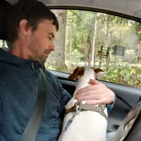 Sitterprofilbild: David P.