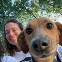 Sitter Profile Image: Laurel G.