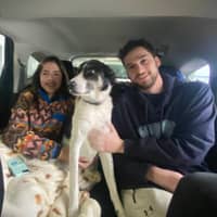 Sitter Profile Image: Elinor C.