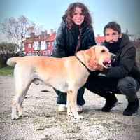 Foto del cuidador: Moises B.